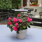 Butz 3* Rothenburg ob der Tauber