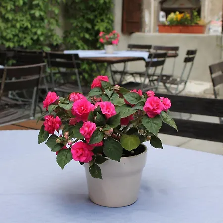 Butz 3* Ρότενμπουργκ (Τάουμπερ)